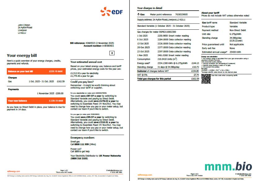 Szablon rachunku za media we Francji EDF w formatach Word i PDF, 2 strony
